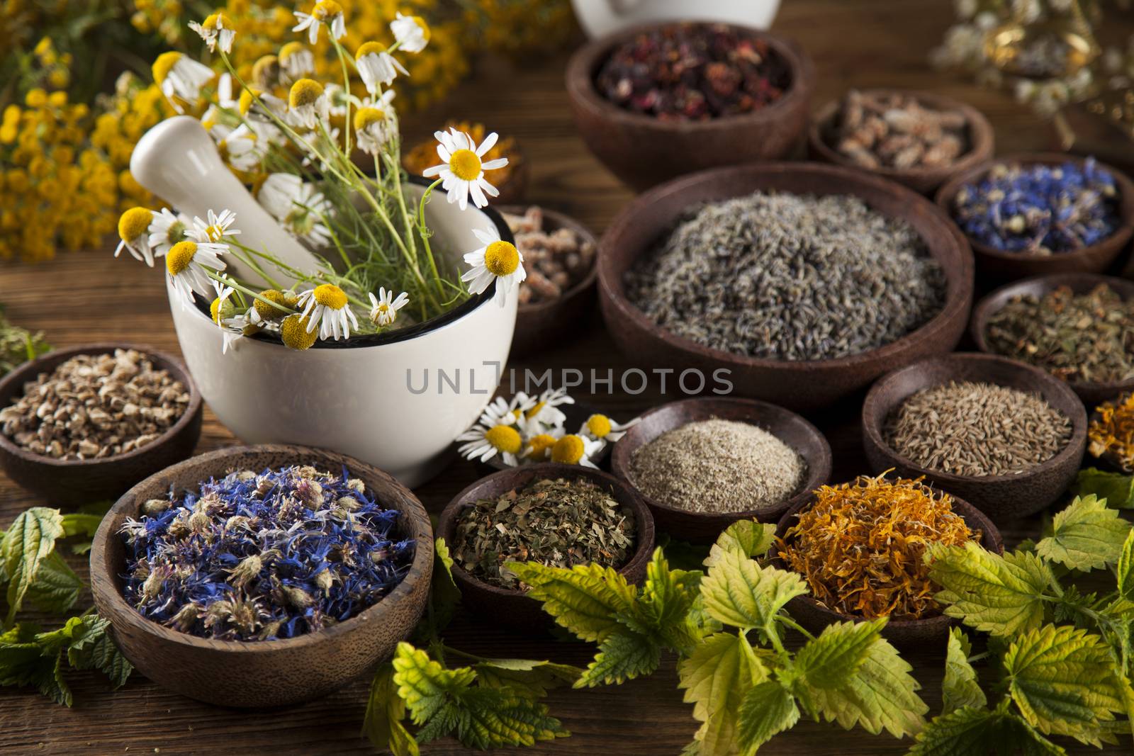 Alternative medicine, dried herbs and mortar on wooden desk back by JanPietruszka