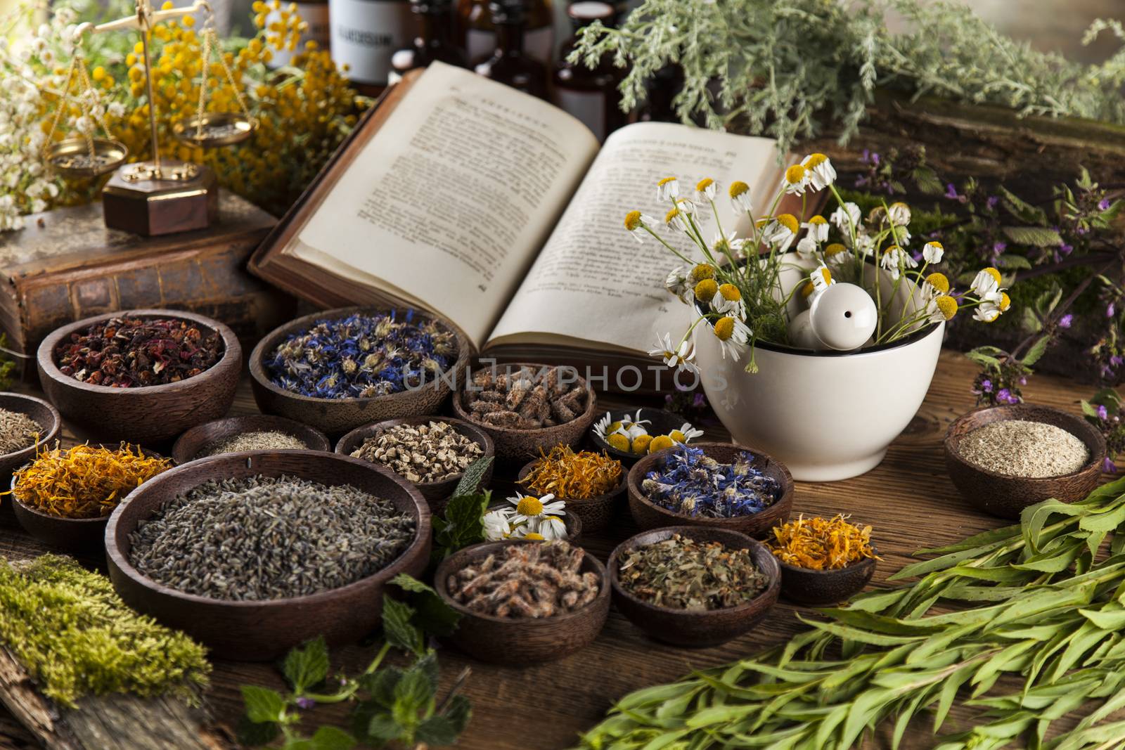 Fresh medicinal, healing herbs on wooden