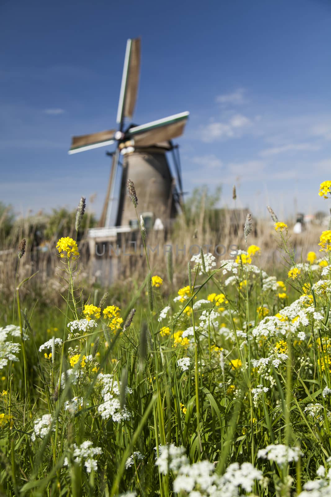 Old windmill, Kinderdijk in netherlands by JanPietruszka