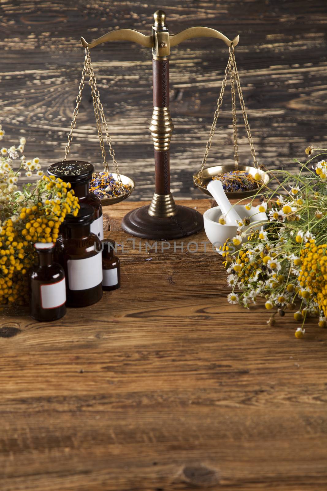 Fresh medicinal, healing herbs on wooden