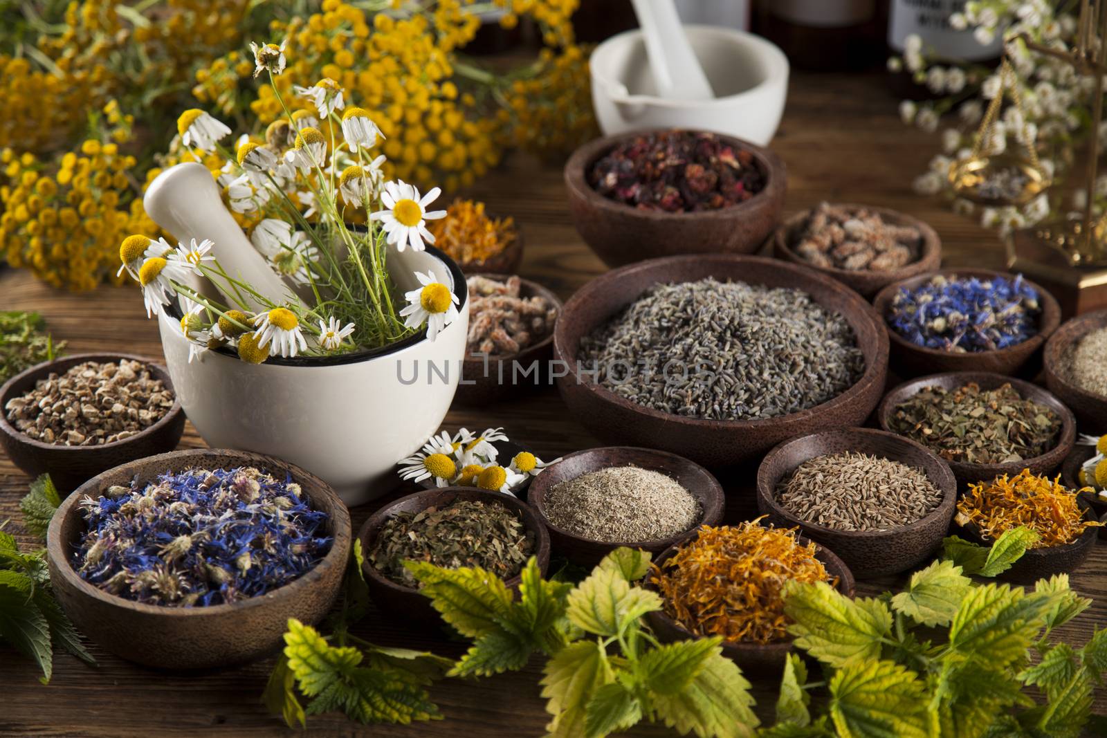 Alternative medicine, dried herbs and mortar on wooden desk back by JanPietruszka