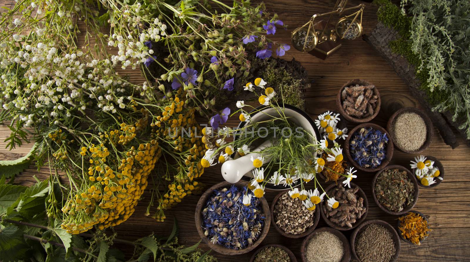 Fresh medicinal, healing herbs on wooden