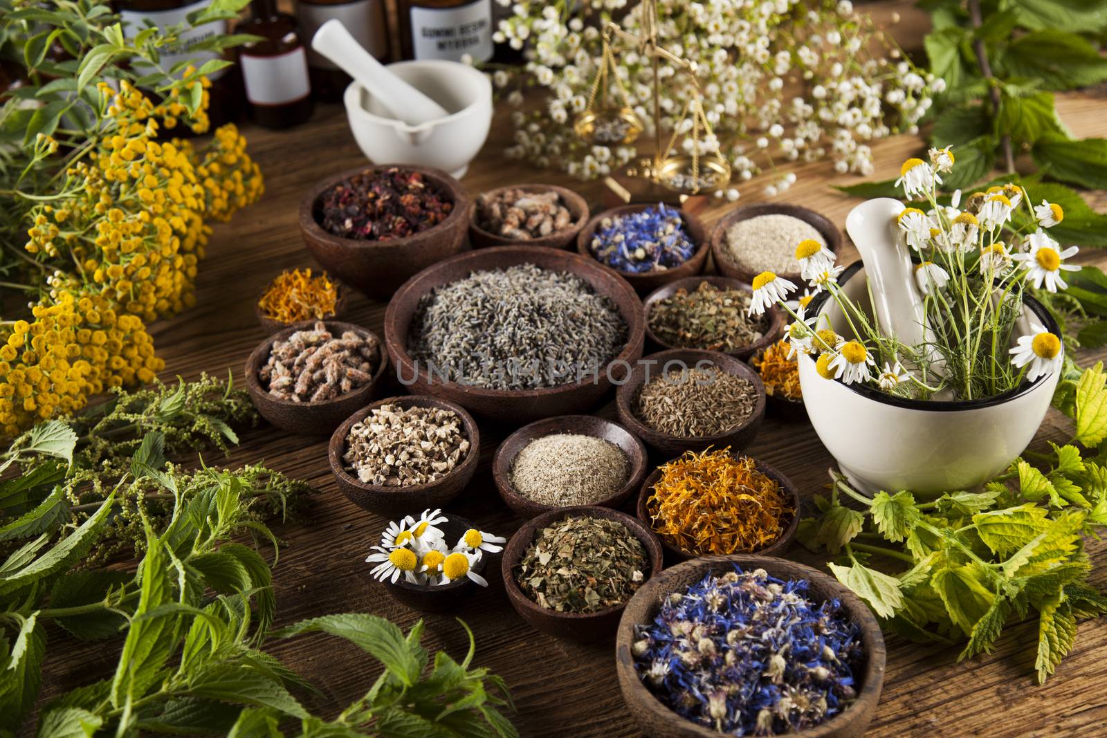 Alternative medicine, dried herbs and mortar on wooden desk back by JanPietruszka