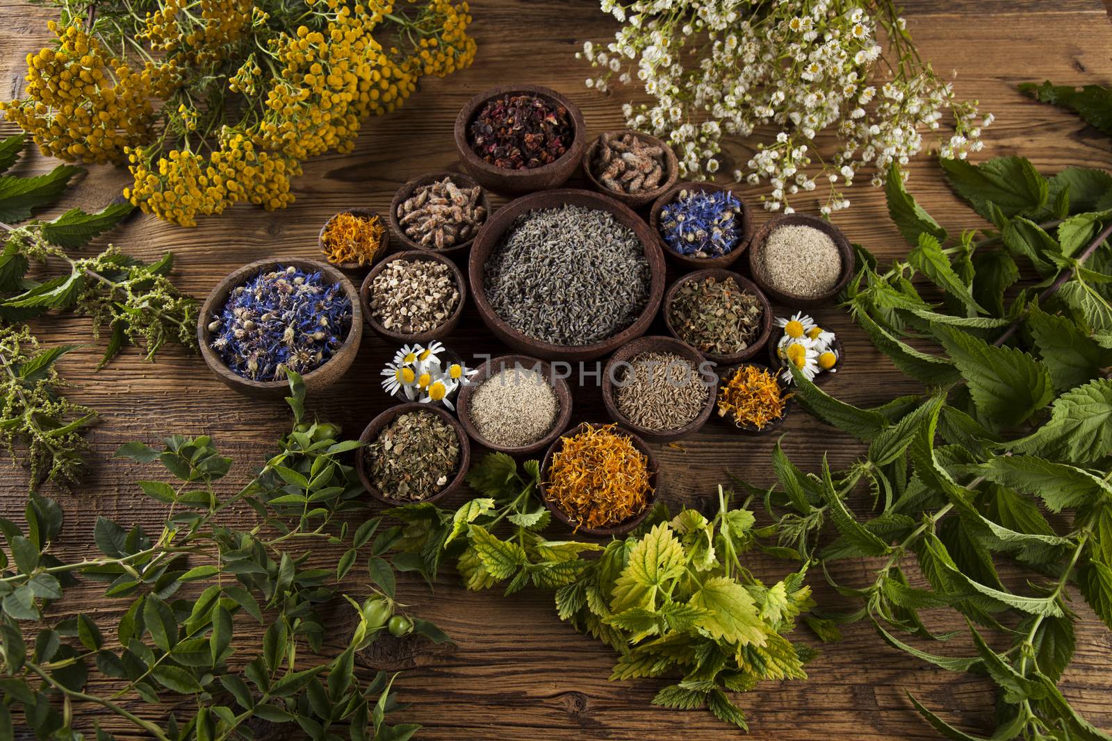 Herbs medicine and vintage wooden desk background by JanPietruszka