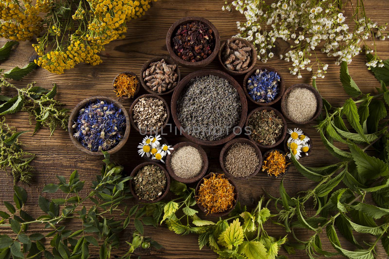 Herbs medicine and vintage wooden desk background by JanPietruszka