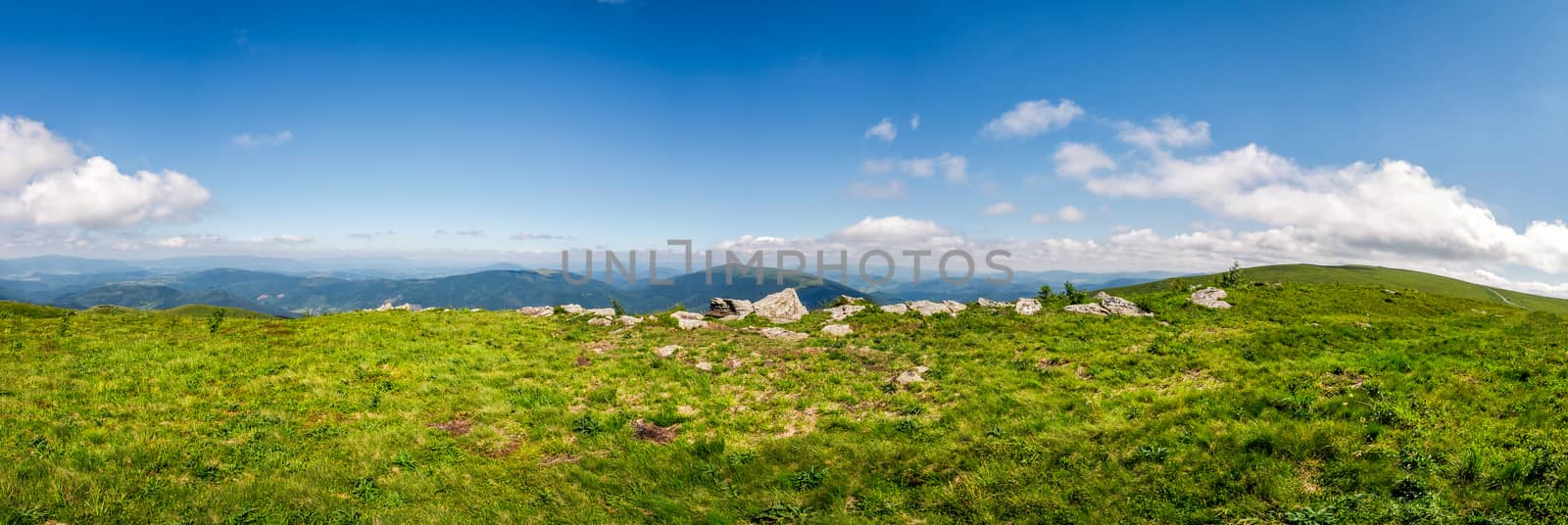 panorama of mountain ridge in summer by Pellinni