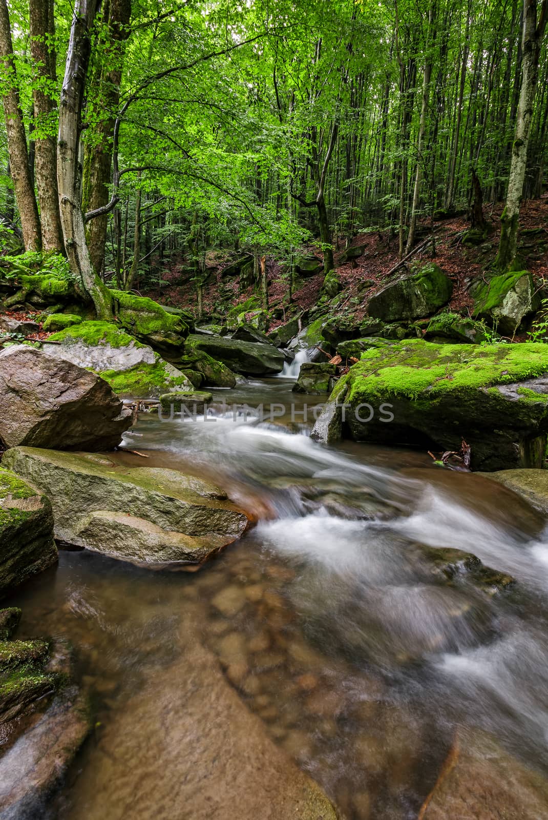 powerful creak with cascade in green forest  by Pellinni