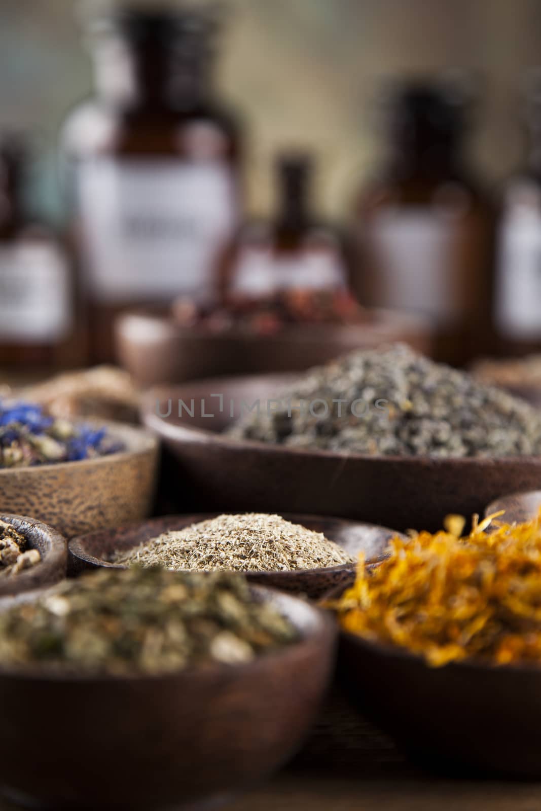 Fresh medicinal, healing herbs on wooden