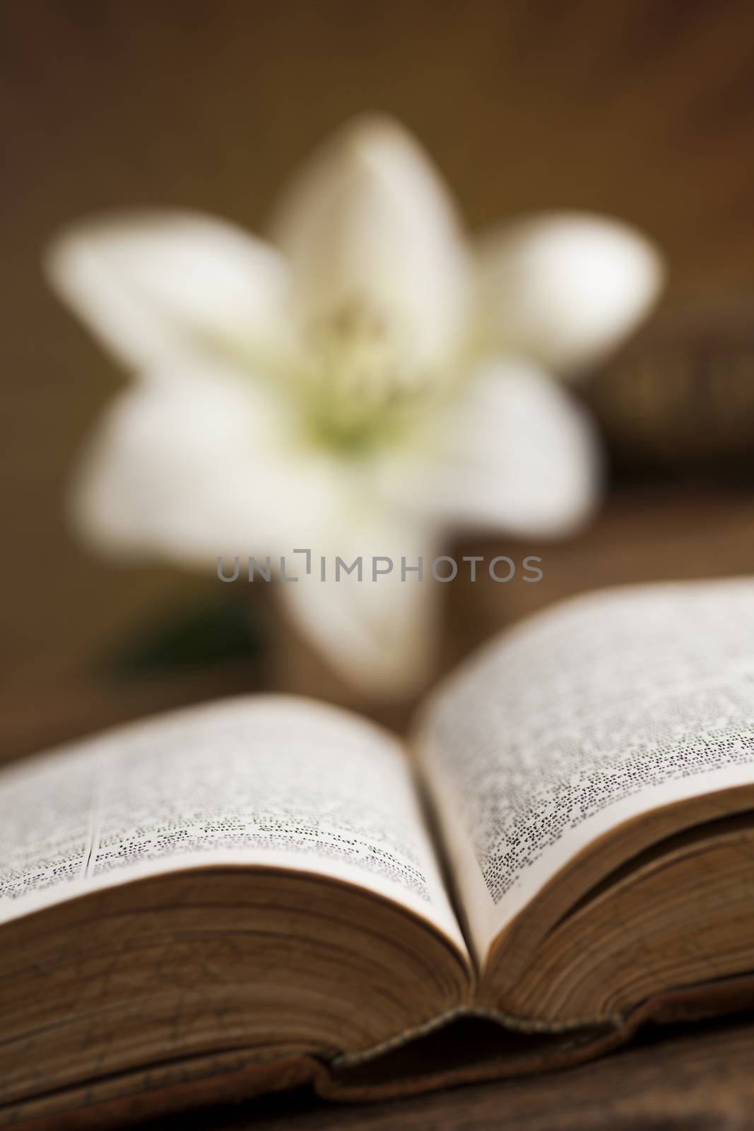 Bible, Eucharist, sacrament of communion background  by JanPietruszka