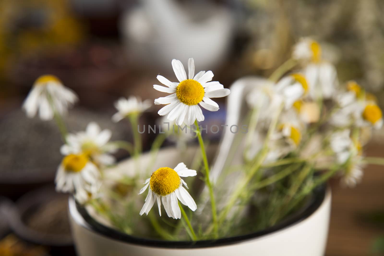 Healing herbs on wooden table, mortar and herbal medicine