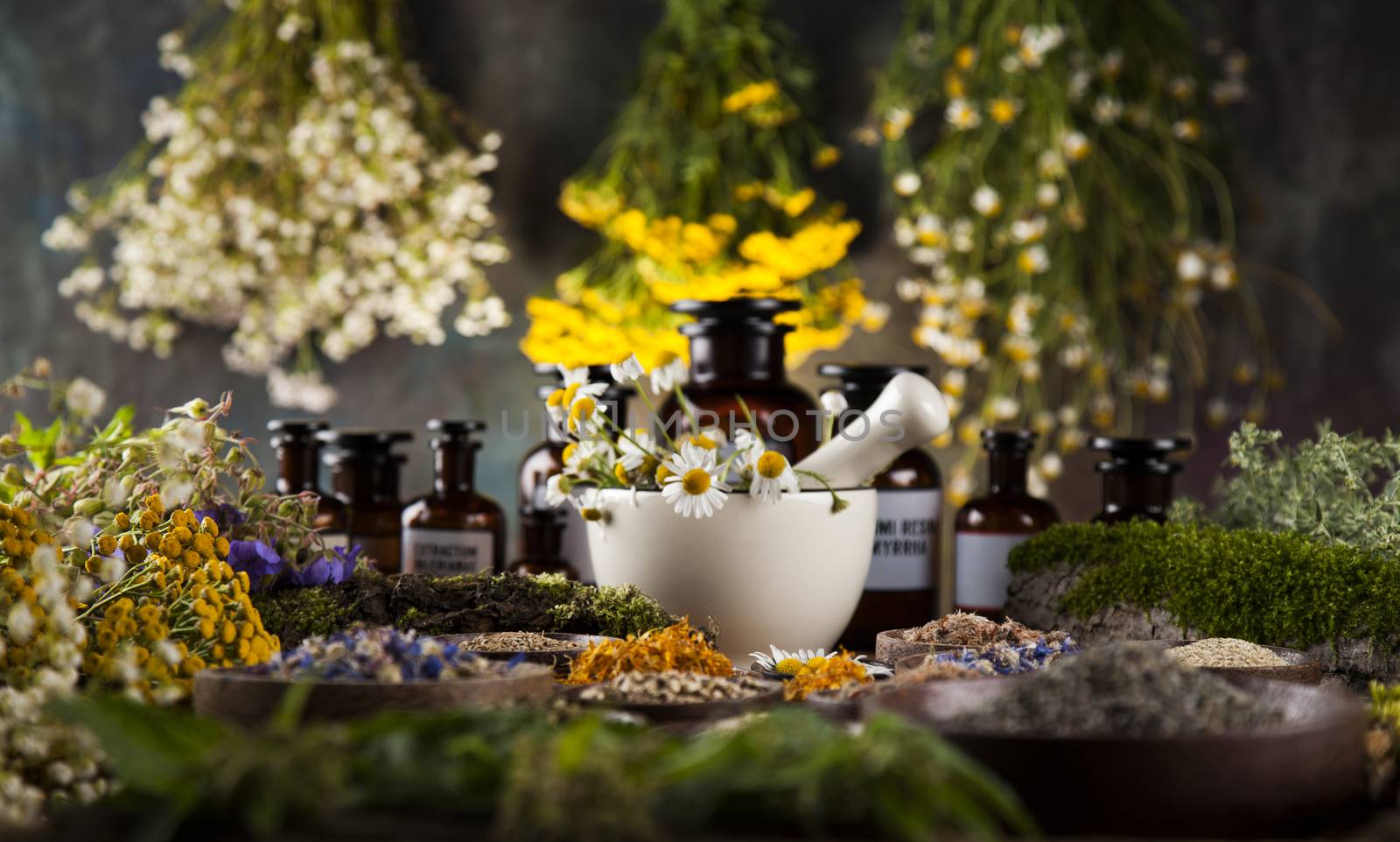 Alternative medicine, dried herbs and mortar on wooden desk back by JanPietruszka