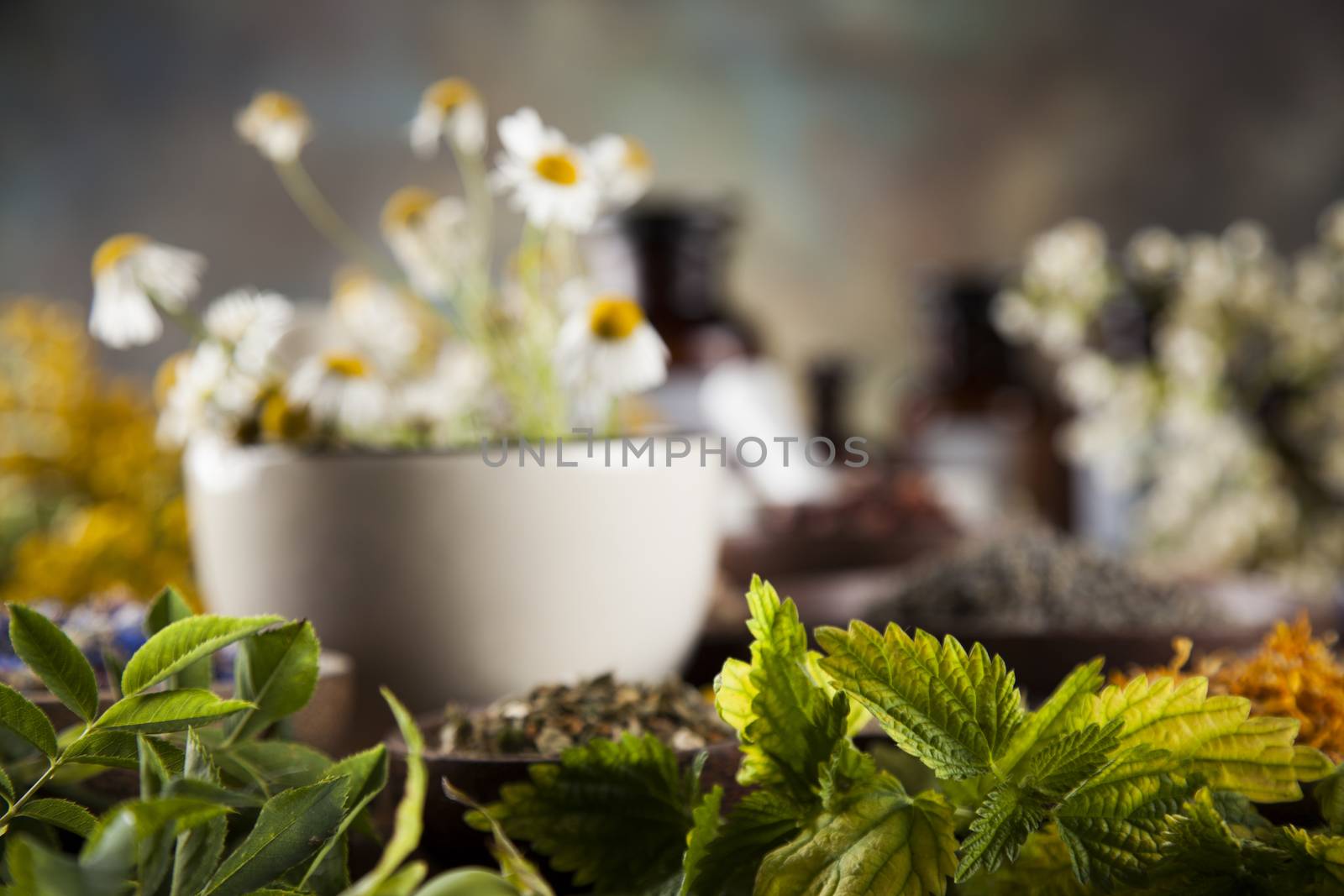 Alternative medicine, dried herbs and mortar on wooden desk back by JanPietruszka