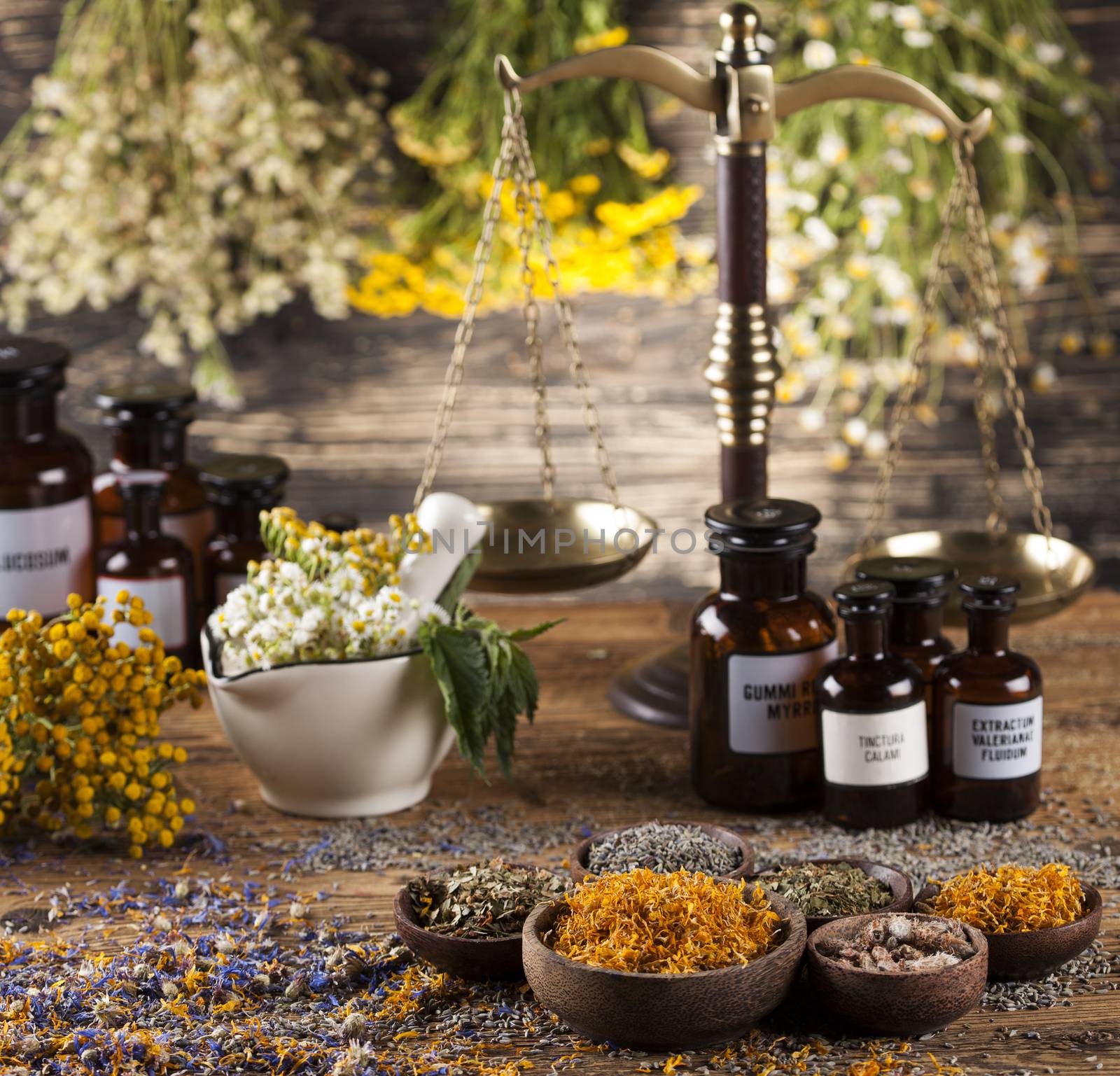 Herbal medicine on wooden desk background by JanPietruszka