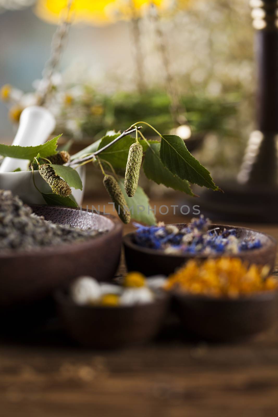 Fresh medicinal, healing herbs on wooden  by JanPietruszka