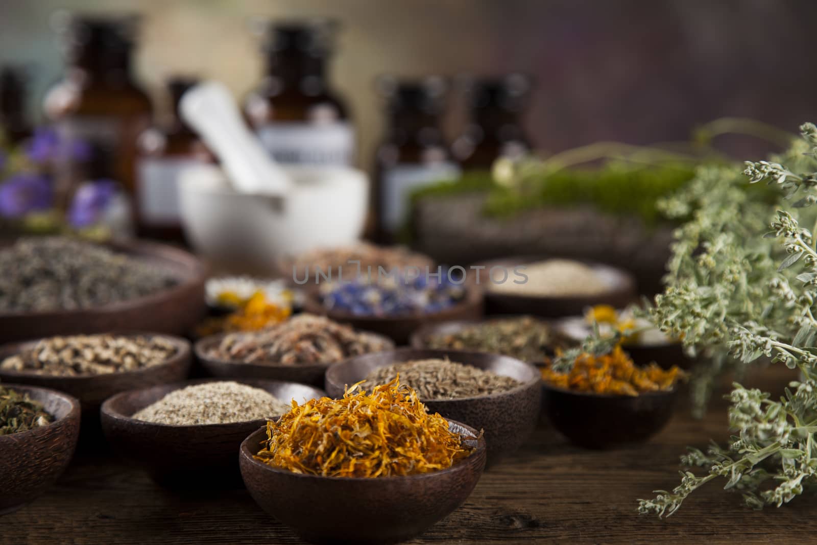 Fresh medicinal, healing herbs on wooden