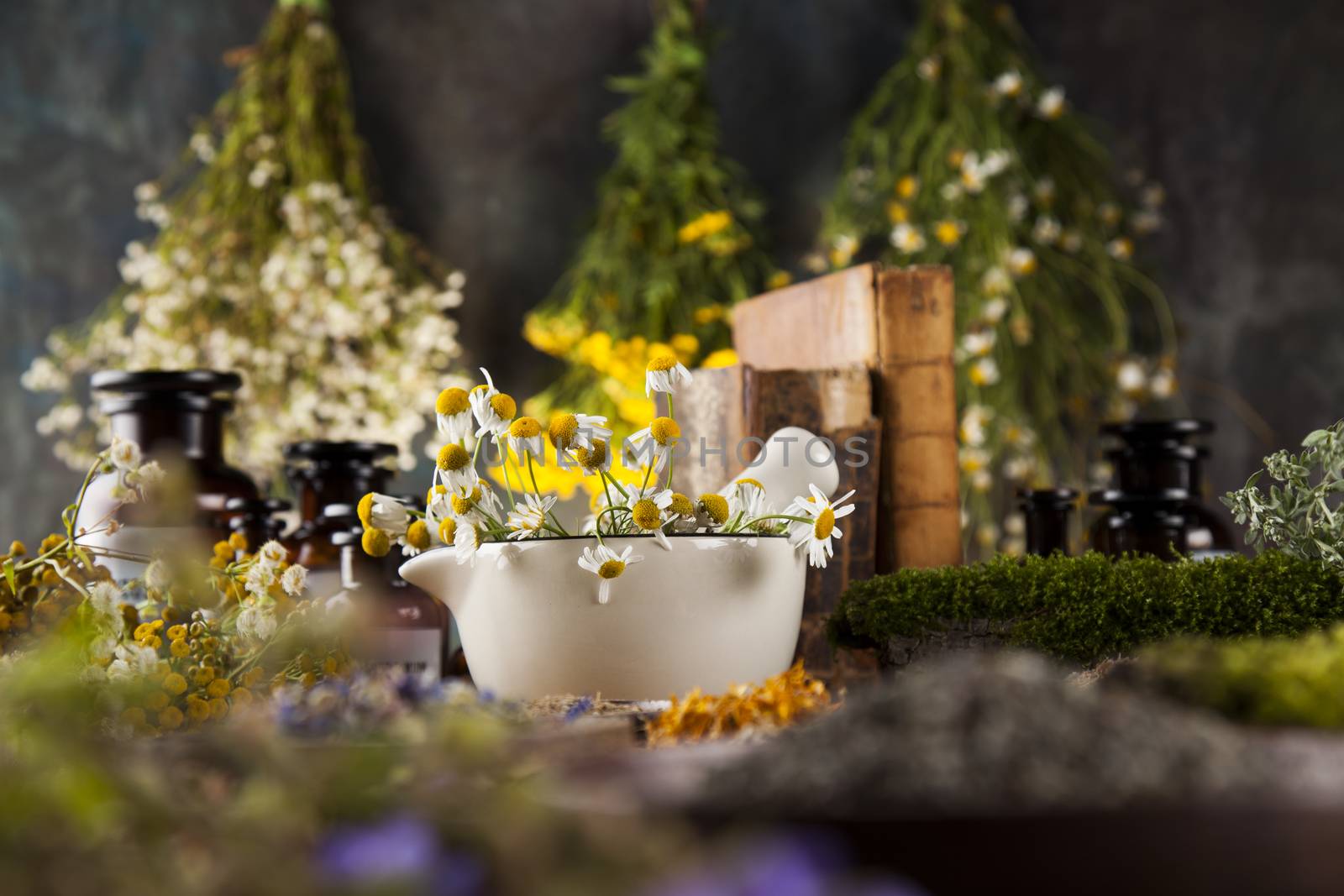 Herbs, berries and flowers with mortar, on wooden table background