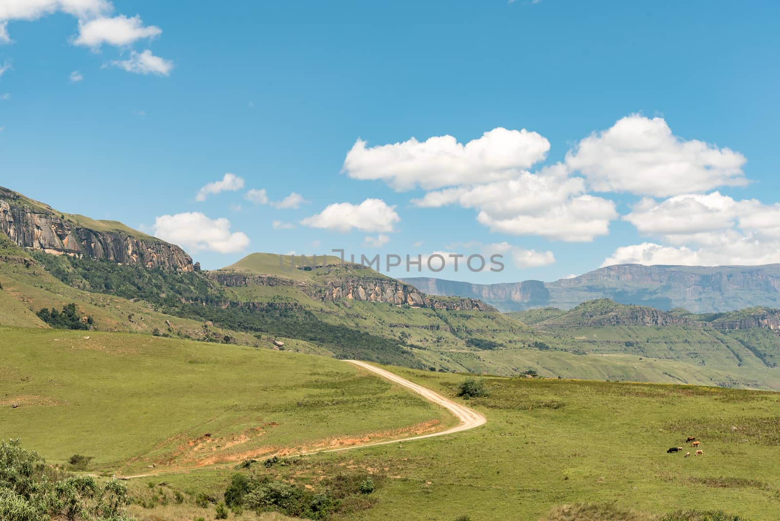 The road to Injisuthi in the Giants Castle section of the Maloti Drakensberg Park in the Kwazulu-Natal Drakensberg
