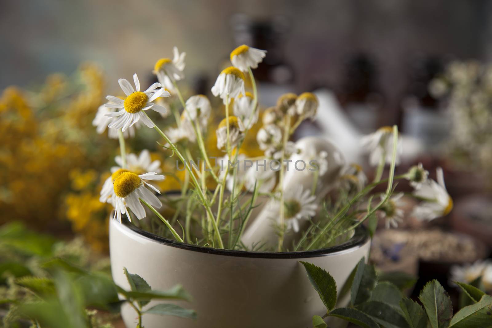 Alternative medicine, dried herbs and mortar on wooden desk back by JanPietruszka