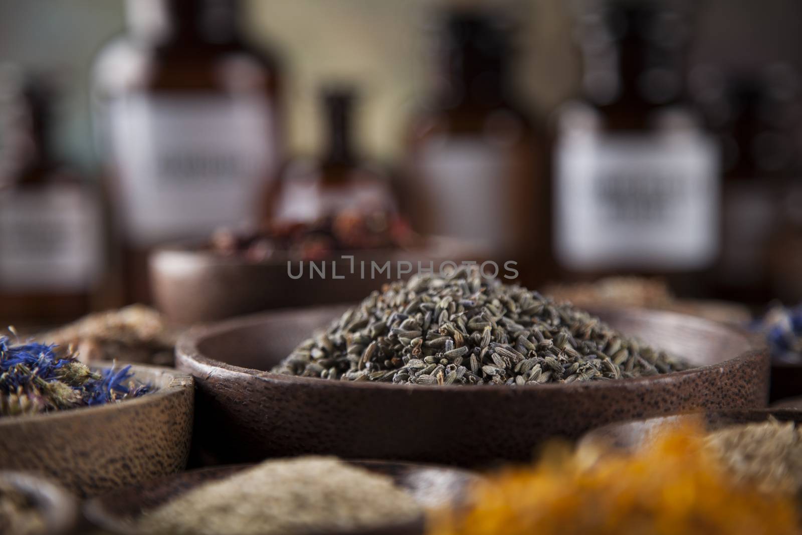 Fresh medicinal, healing herbs on wooden