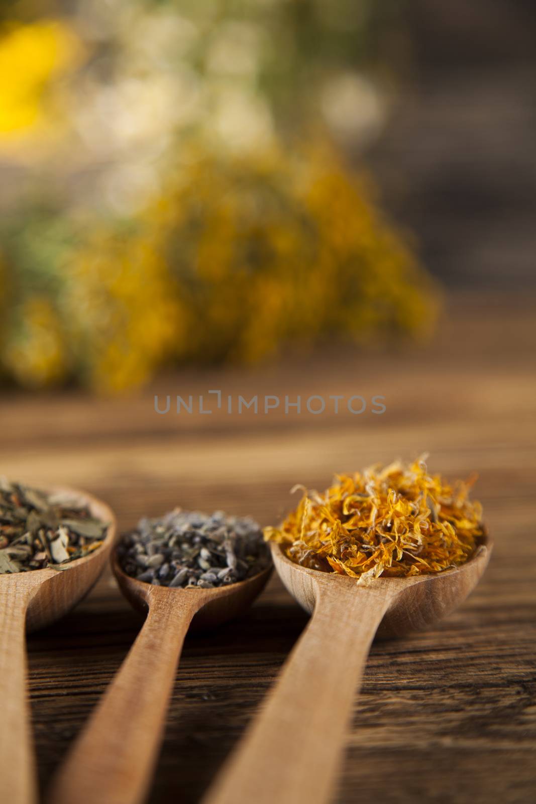 Herbal medicine on wooden desk background