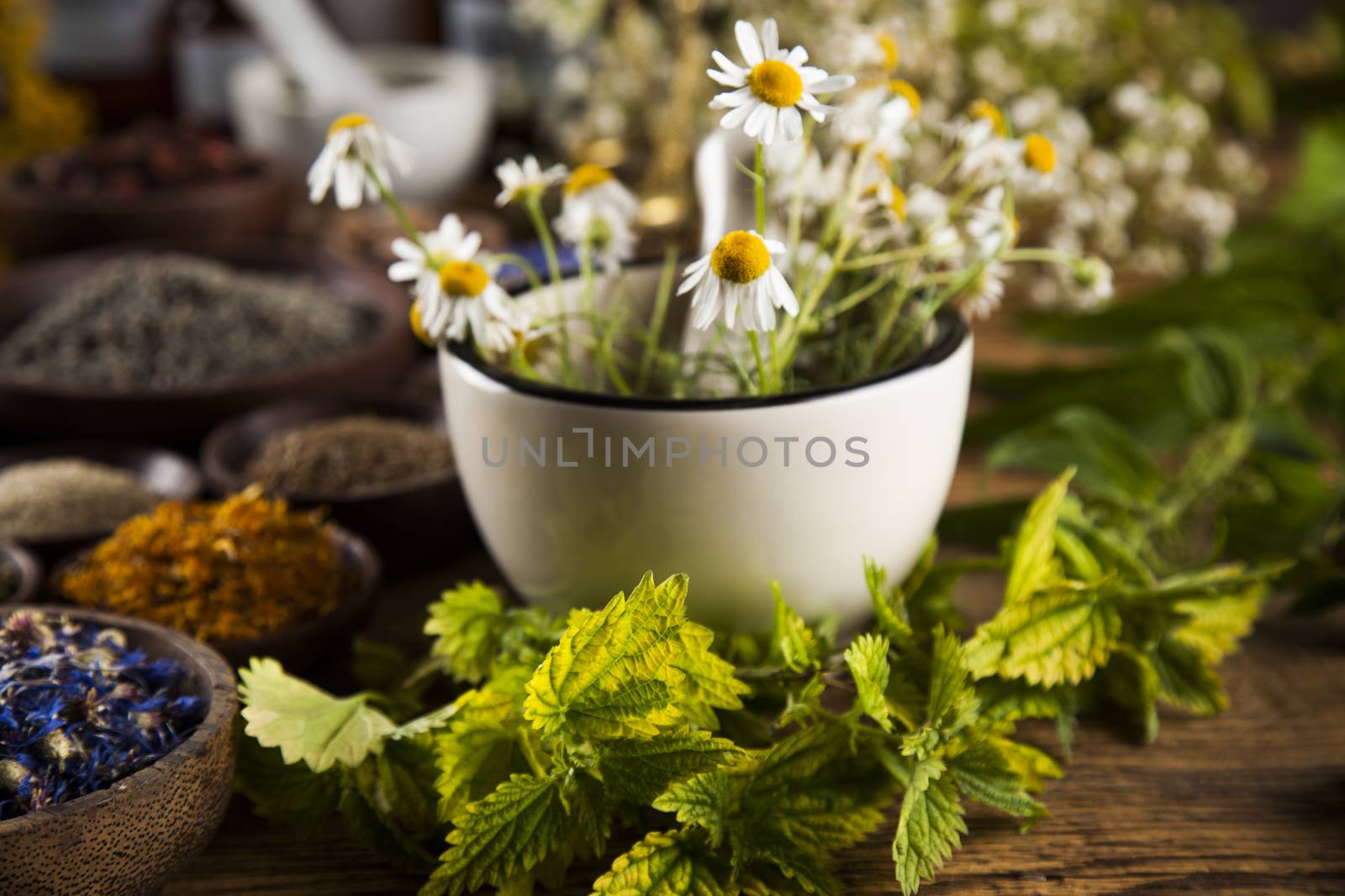 Alternative medicine, dried herbs and mortar on wooden desk back by JanPietruszka