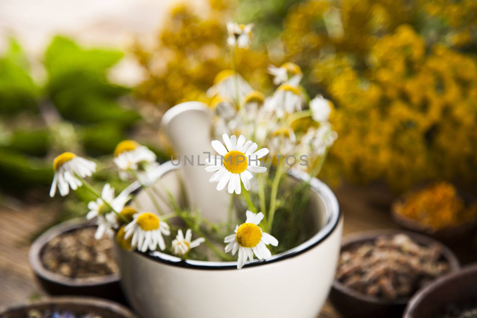 Herbs medicine and vintage wooden desk background by JanPietruszka