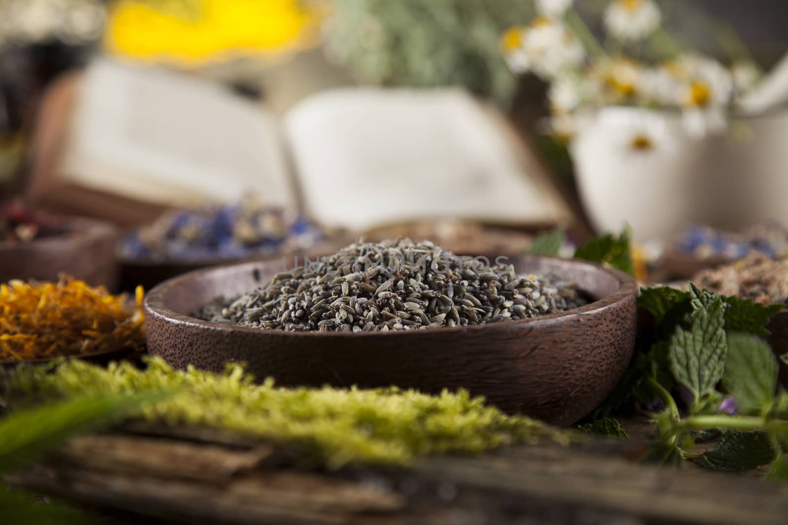 Herbal medicine and book on wooden table background by JanPietruszka