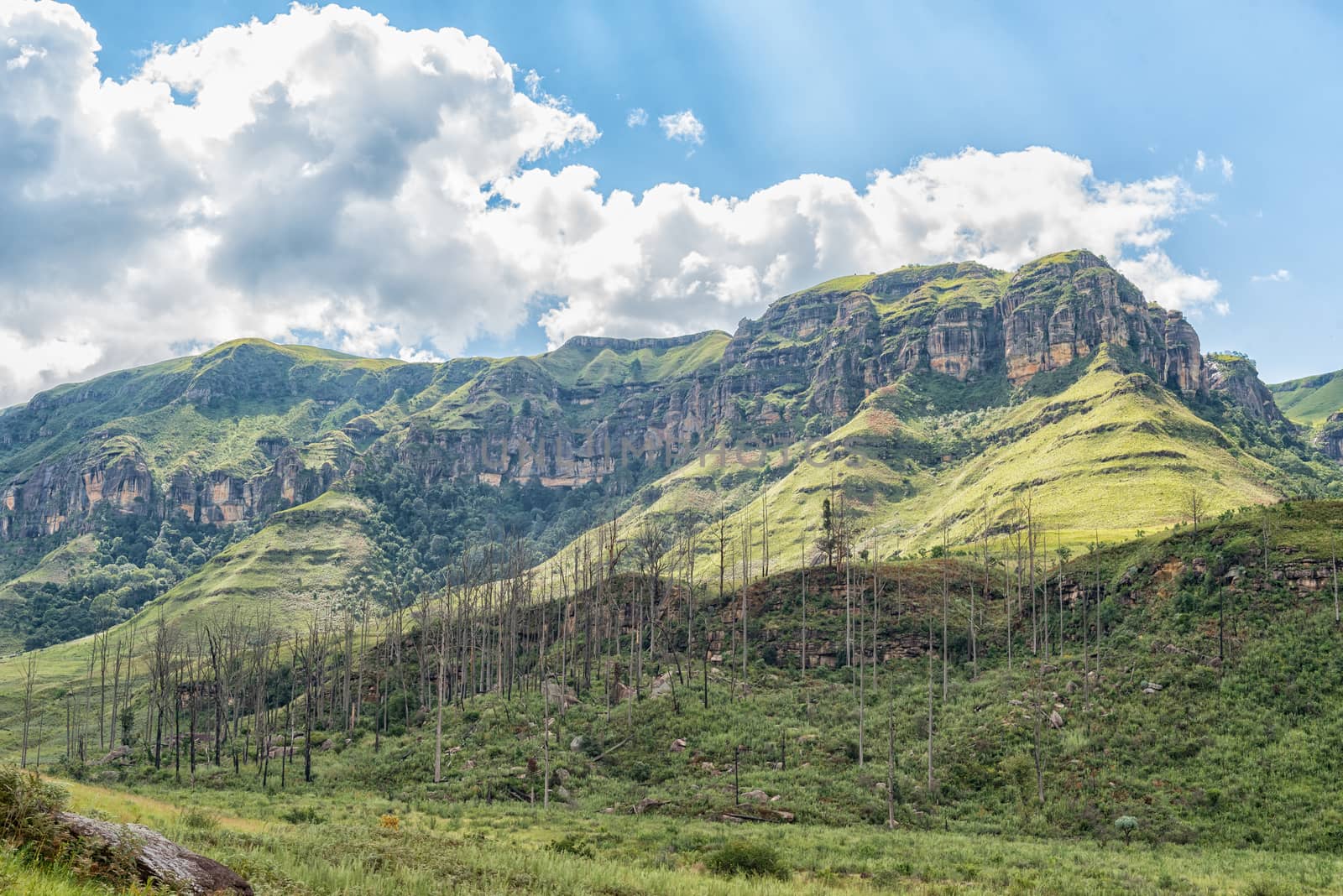 The view from the camp site at Injisuthi in the Kwazulu-Natal Drakensberg. Van Heiningen Pass is in the valley far right