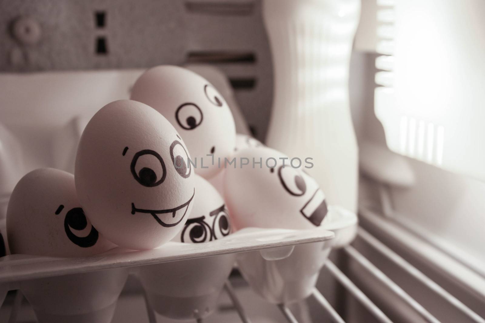 Concept of idea. Face eggs are funny in the fridge. Photo for your design. The egg looks into the camera