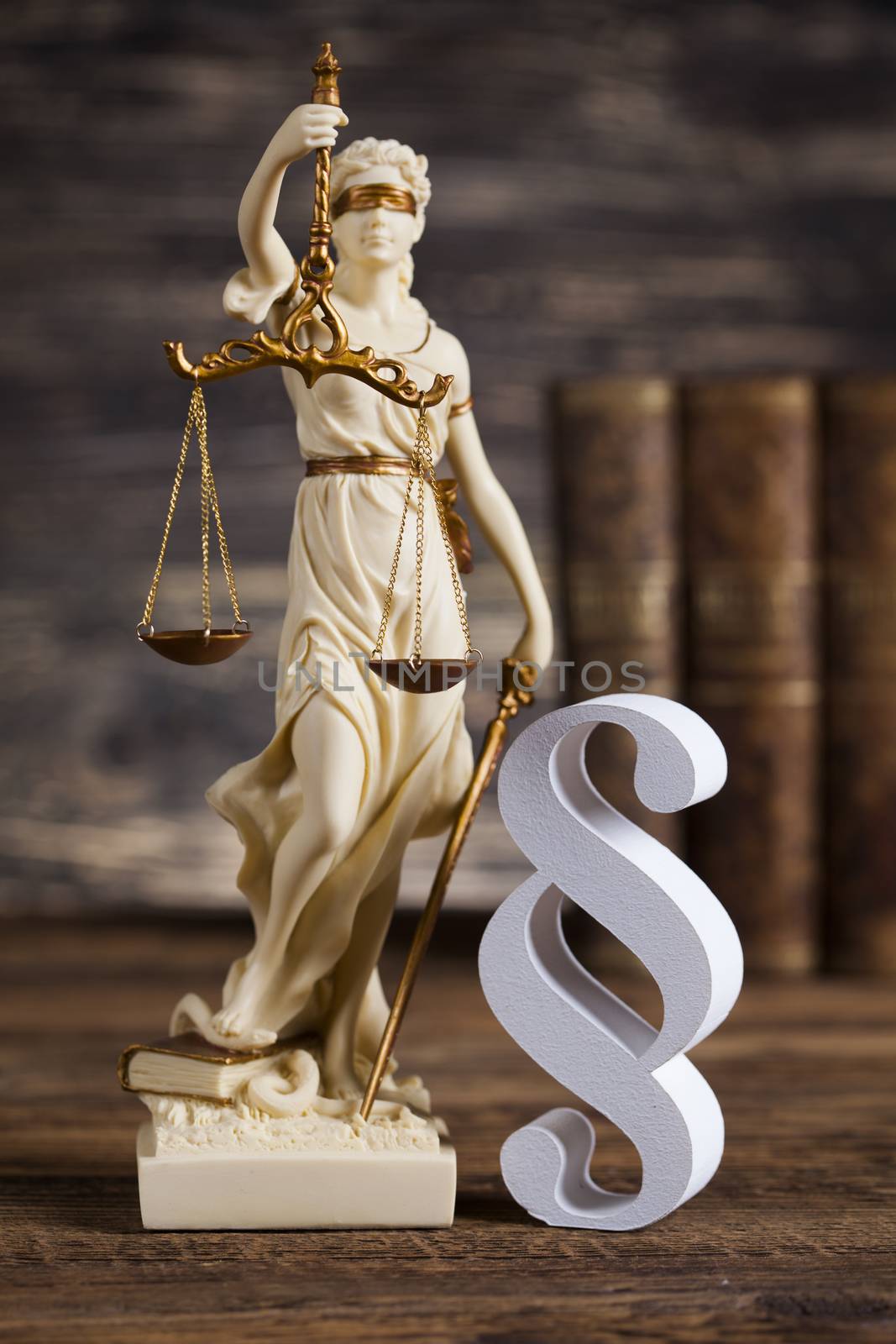 Statue of lady justice, Law concept and paragraph by JanPietruszka
