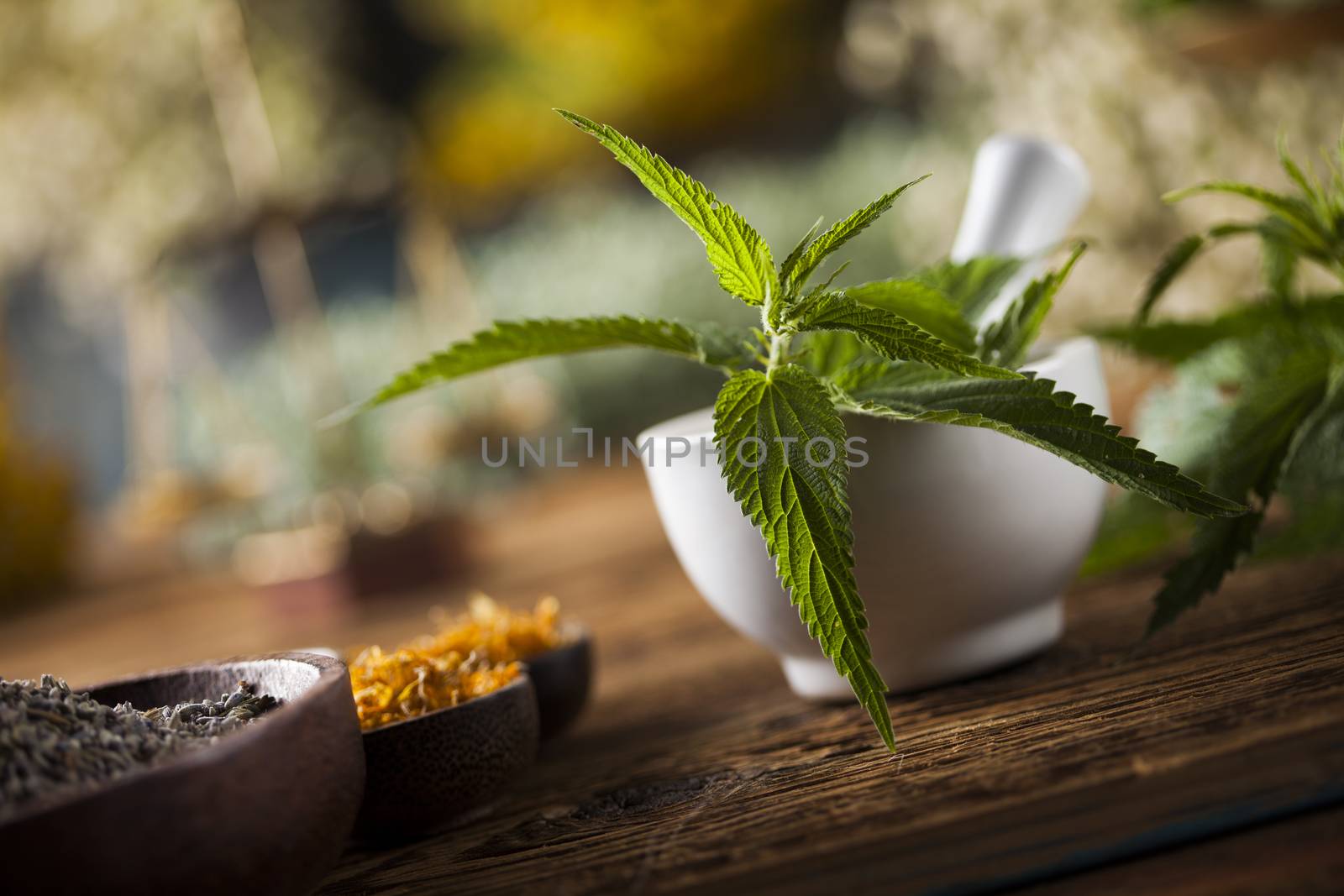 Herbs medicine,Natural remedy and mortar on vintage wooden desk  by JanPietruszka