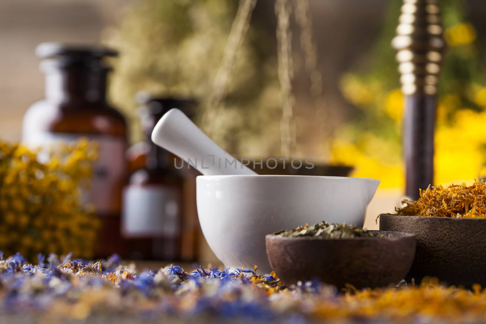 Fresh medicinal, healing herbs on wooden