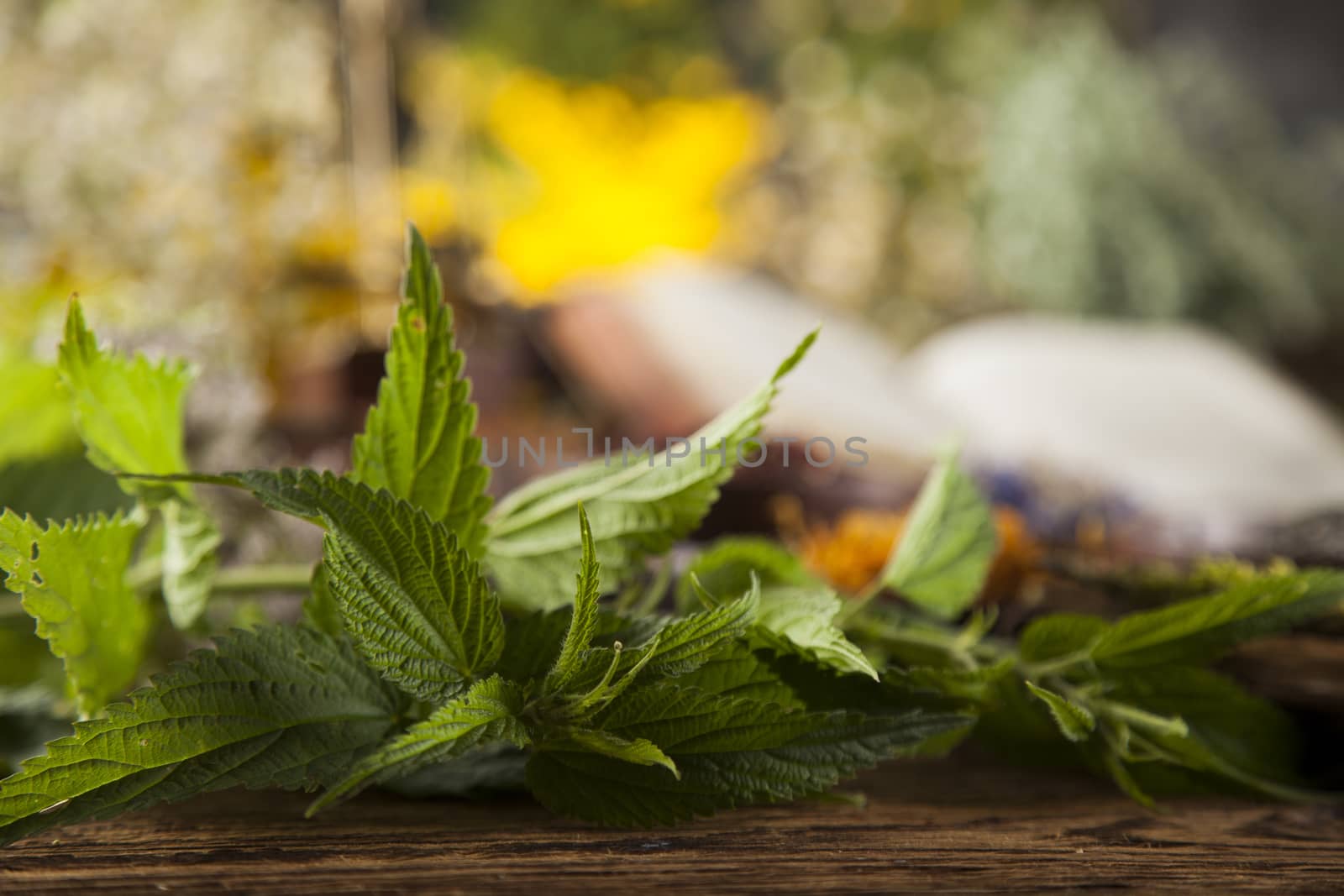 Book and Herbal medicine on wooden table background by JanPietruszka