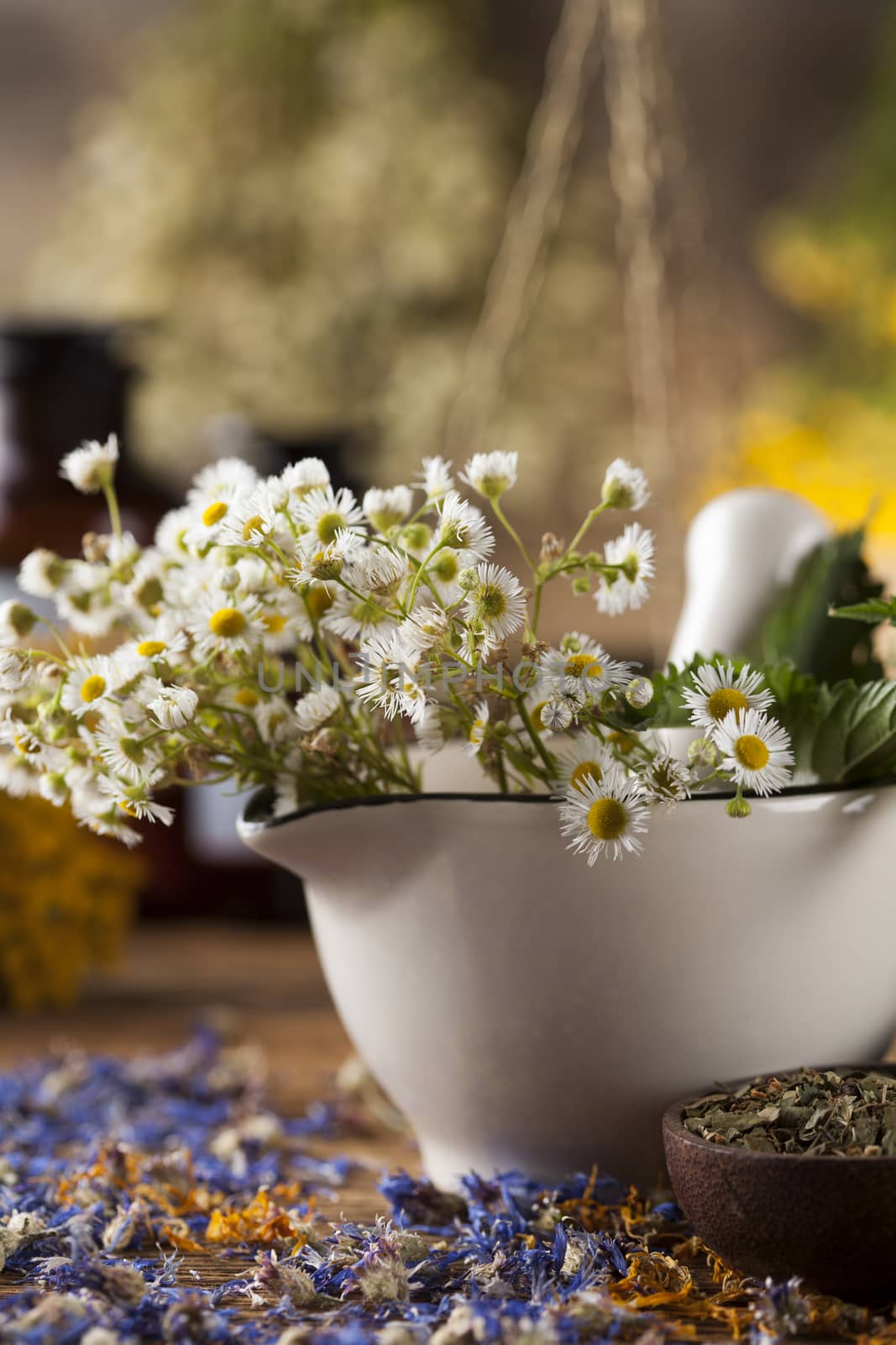 Herbs, berries and flowers with mortar, on wooden table backgrou by JanPietruszka