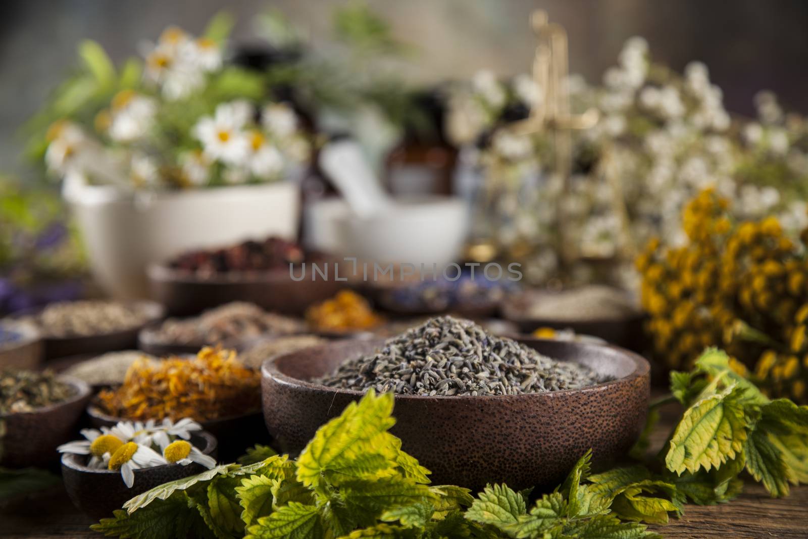 Alternative medicine, dried herbs and mortar on wooden desk back by JanPietruszka