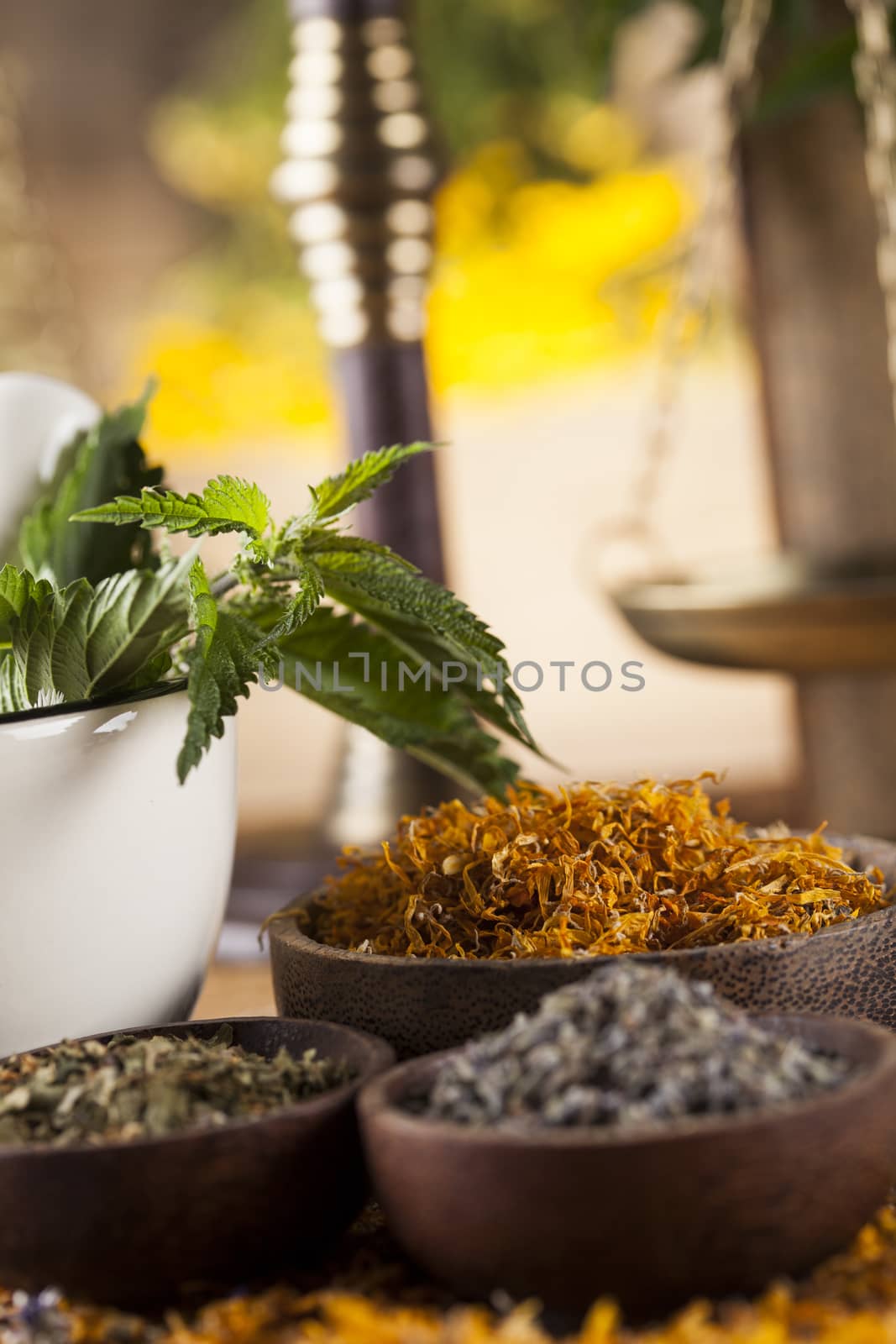 Herbs, berries and flowers with mortar, on wooden table backgrou by JanPietruszka