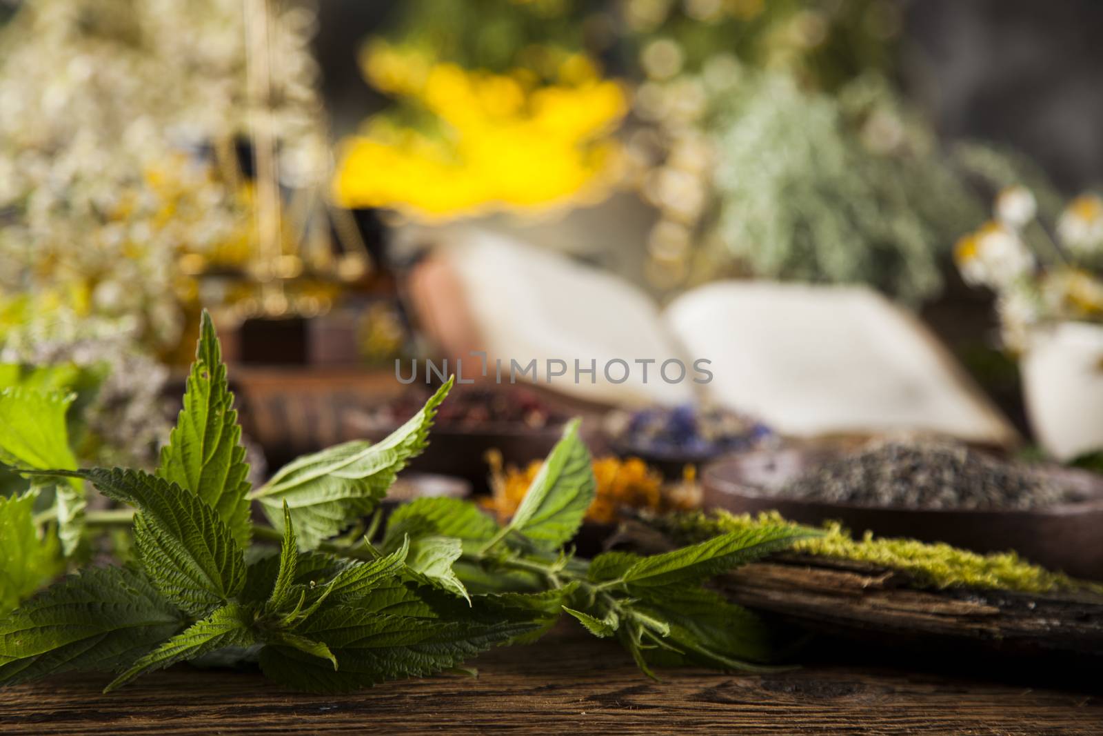 Book and Herbal medicine on wooden table background by JanPietruszka