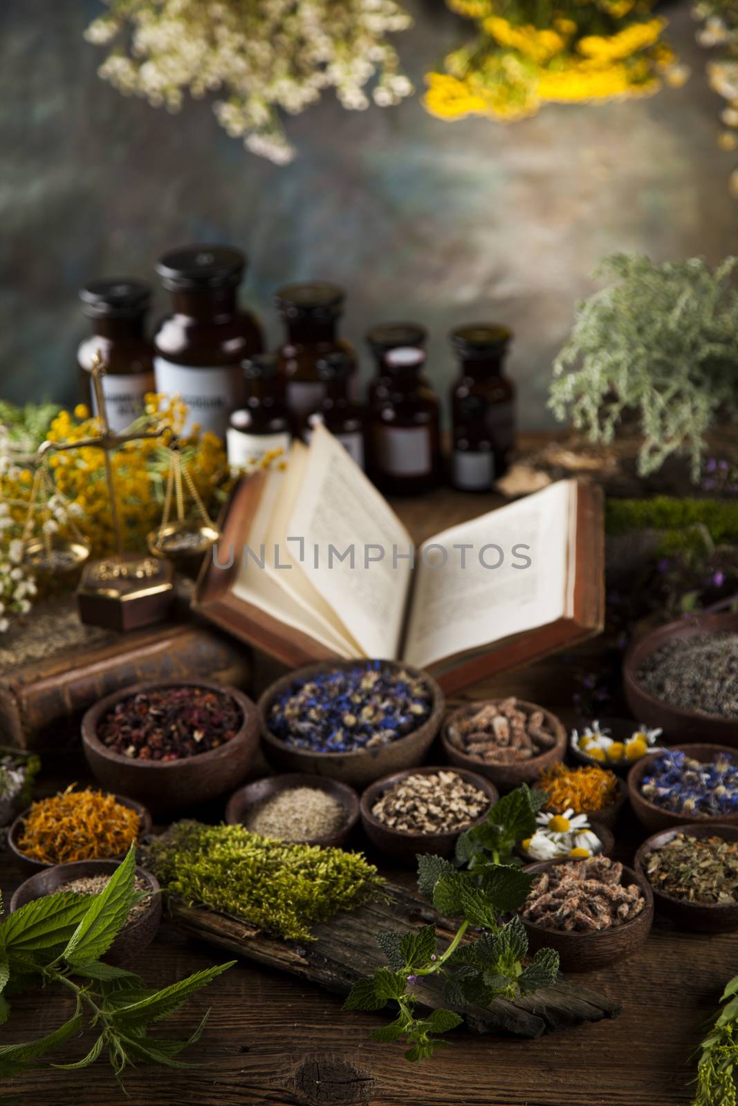 Herbal medicine and book on wooden table background by JanPietruszka