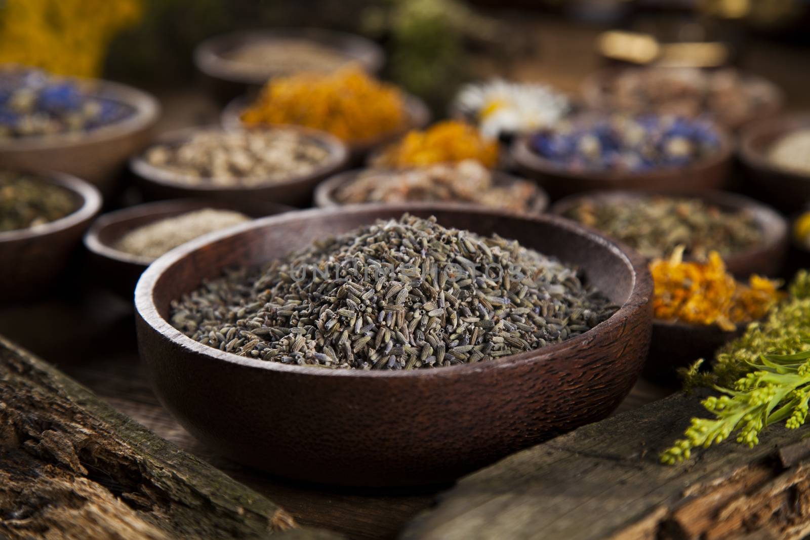 Fresh medicinal, healing herbs on wooden by JanPietruszka