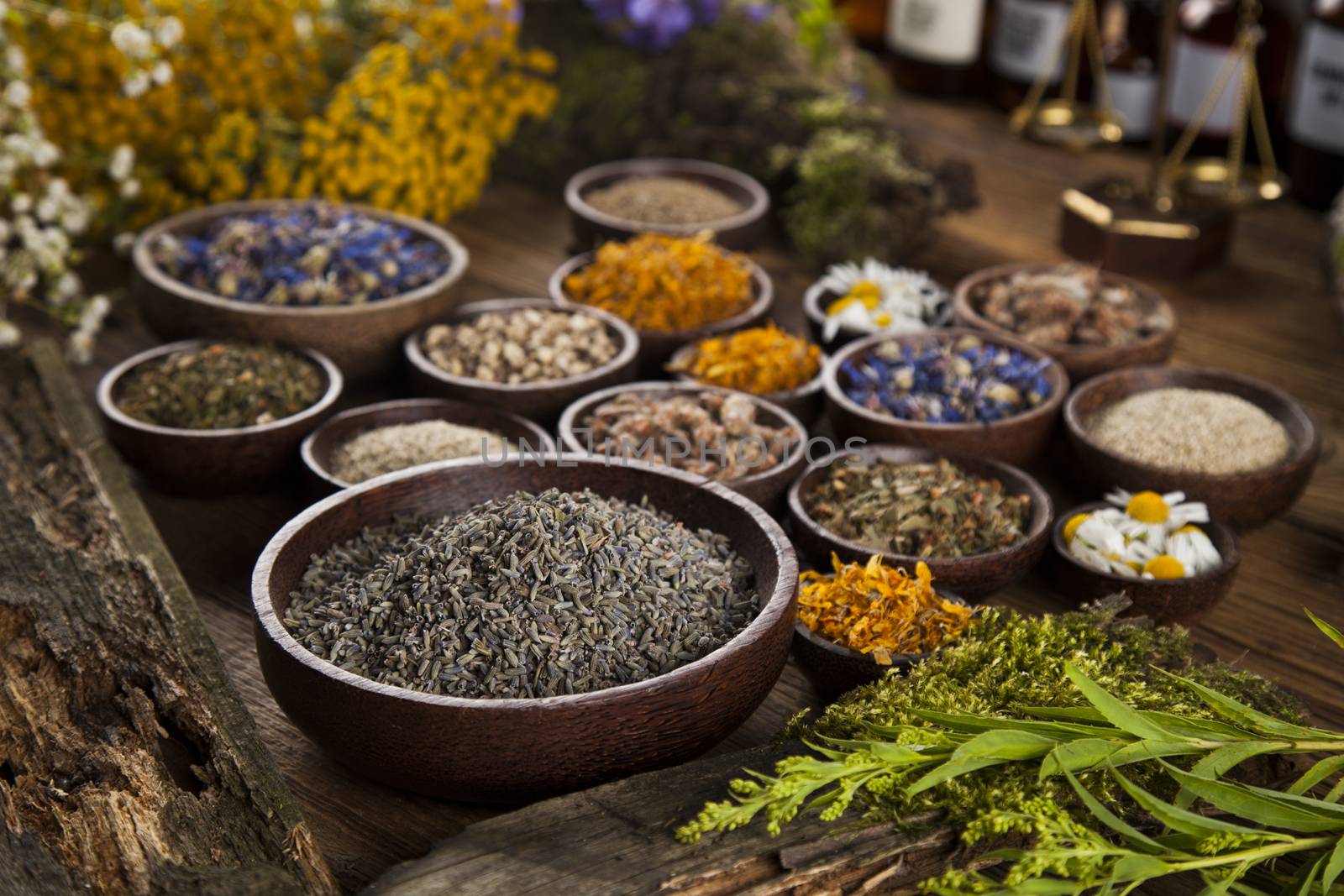 Fresh medicinal, healing herbs on wooden by JanPietruszka