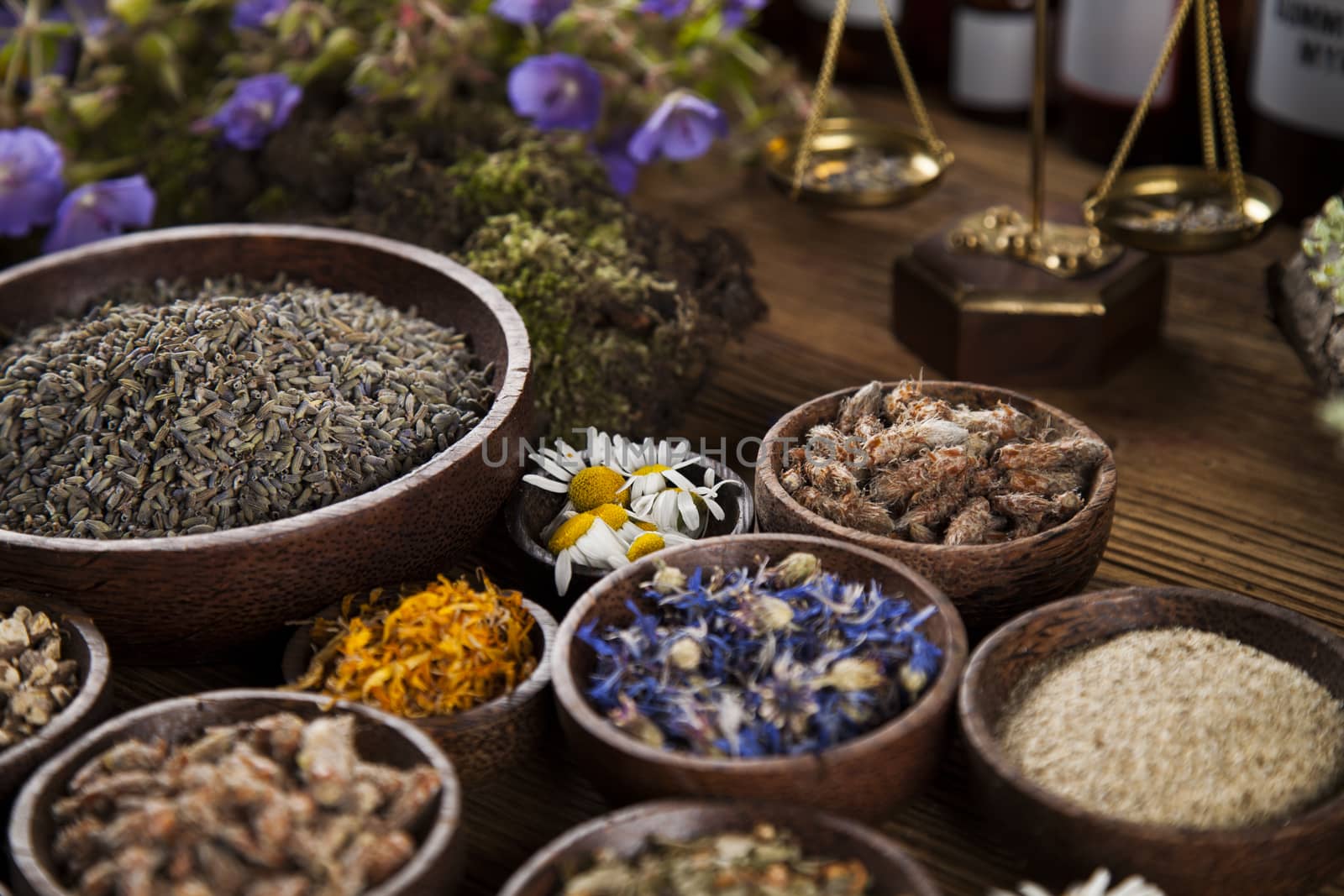 Healing herbs on wooden table, mortar and herbal medicine  by JanPietruszka