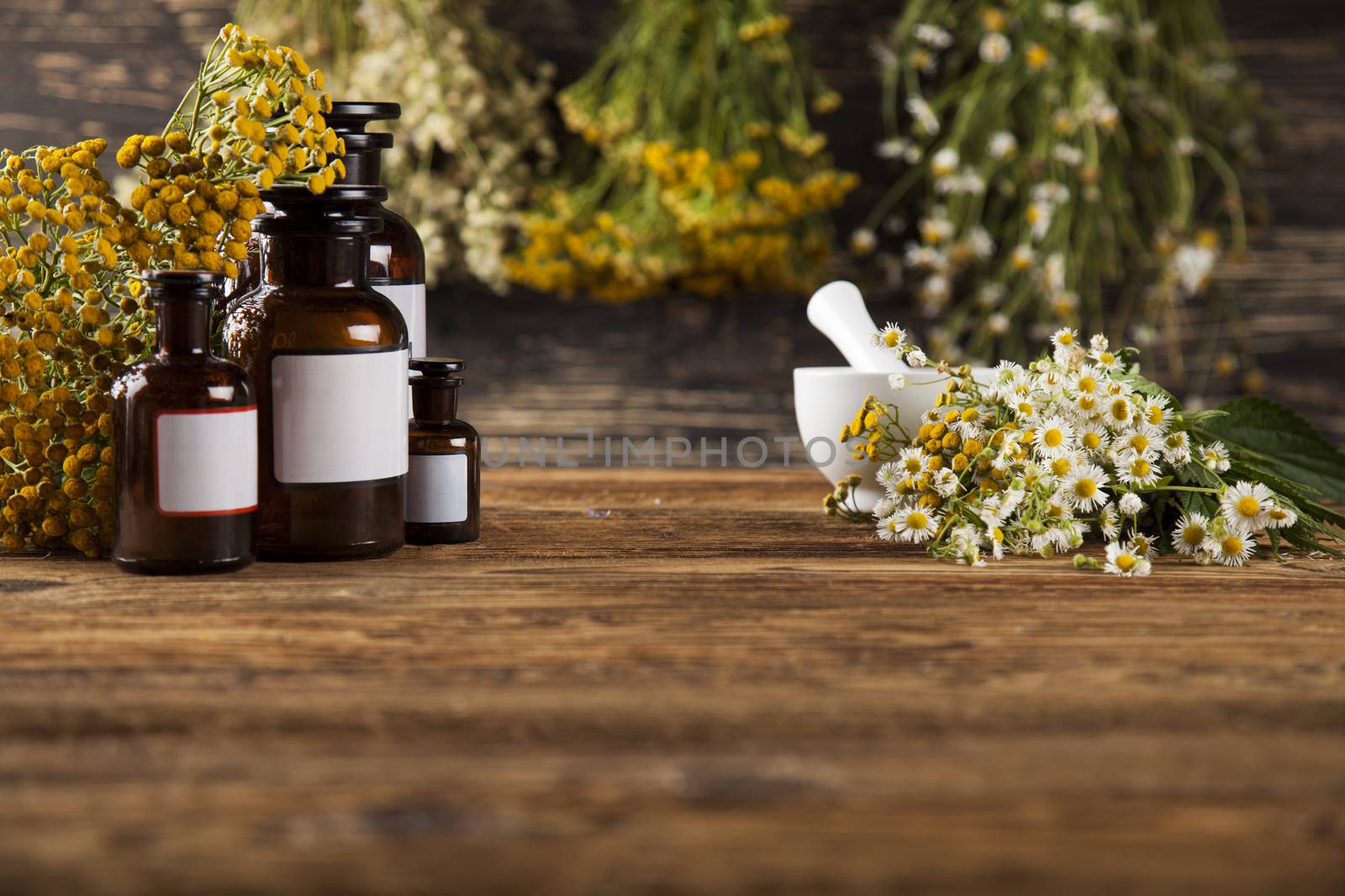 Herbal medicine on wooden desk background by JanPietruszka