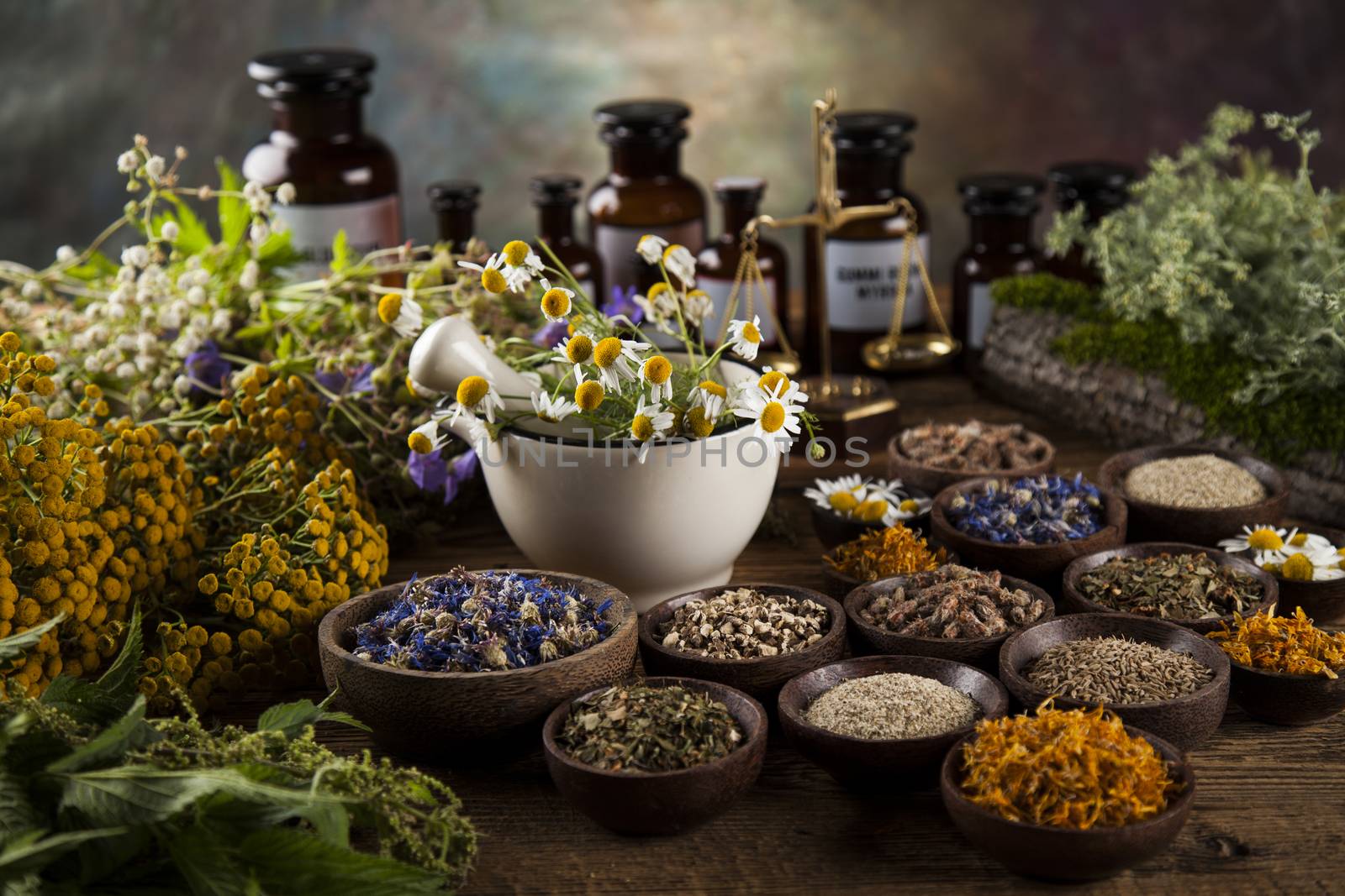 Fresh medicinal, healing herbs on wooden