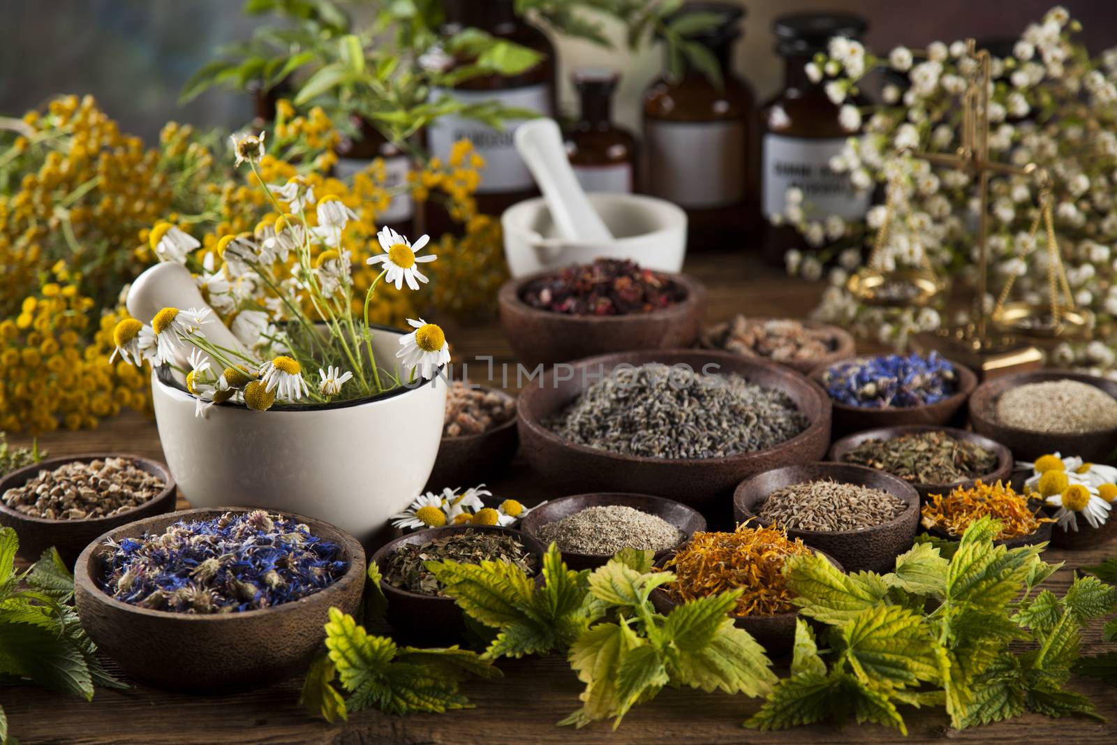 Fresh medicinal, healing herbs on wooden