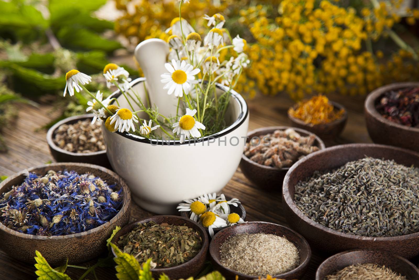 Alternative medicine, dried herbs and mortar on wooden desk back by JanPietruszka