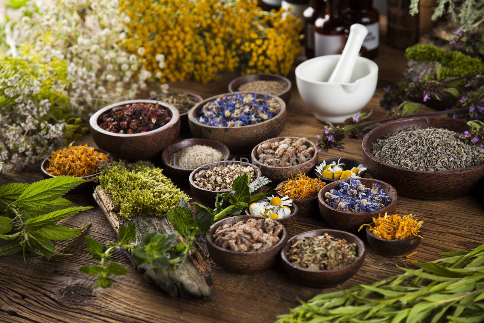 Alternative medicine, dried herbs and mortar on wooden desk back by JanPietruszka