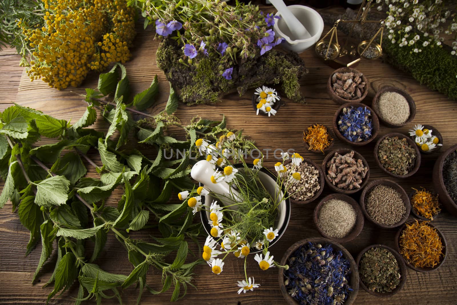 Healing herbs on wooden table, mortar and herbal medicine  by JanPietruszka