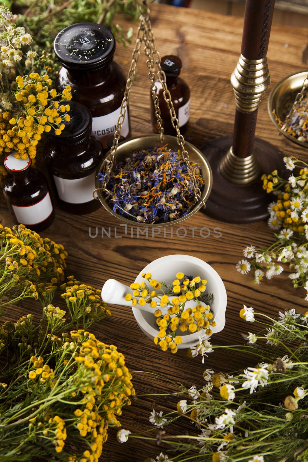 Fresh medicinal, healing herbs on wooden