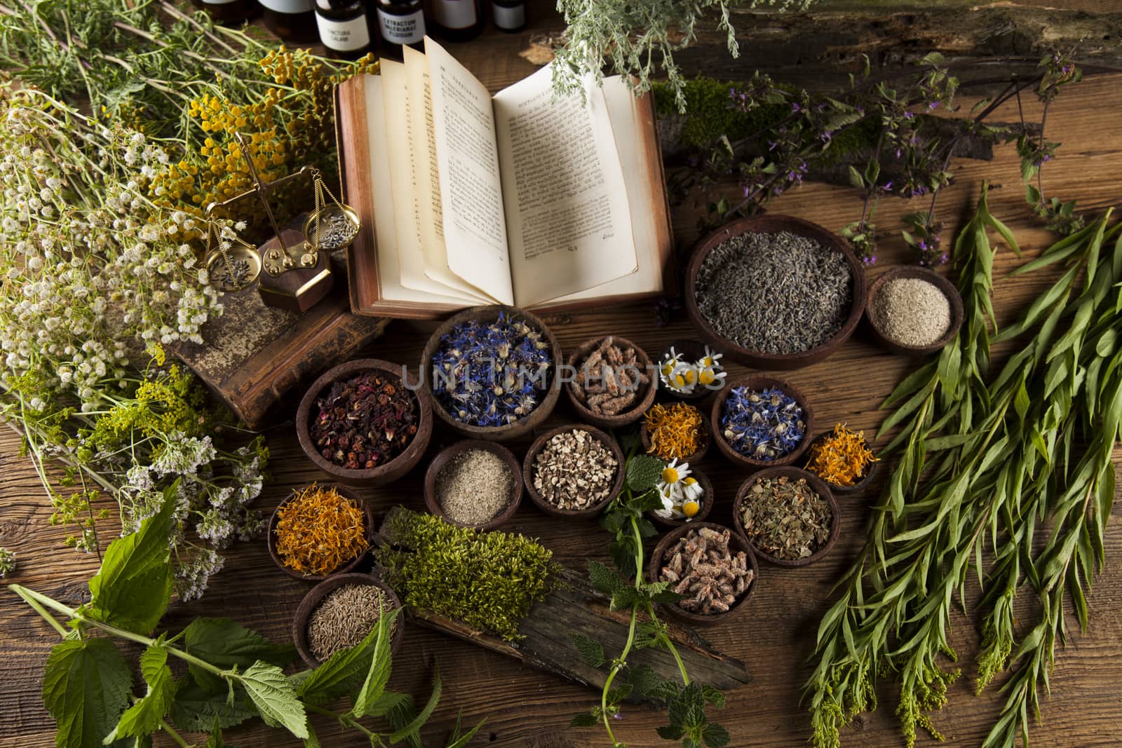 Herbal medicine and book on wooden table background by JanPietruszka