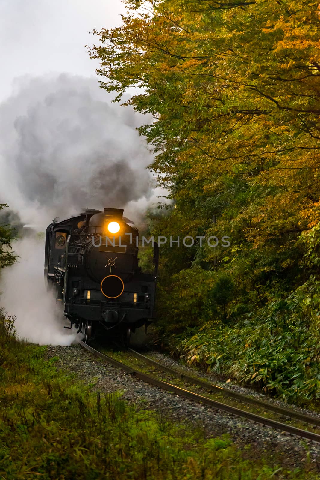 steam locomotive in autumn forest at Fukushima Japan